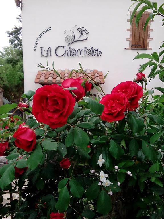 Agriturismo La Chiocciola Poggio Murella Exterior photo